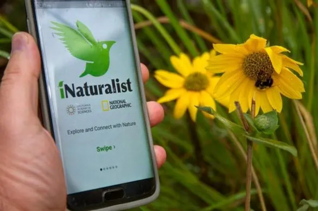 App de Plantas - iNaturalist